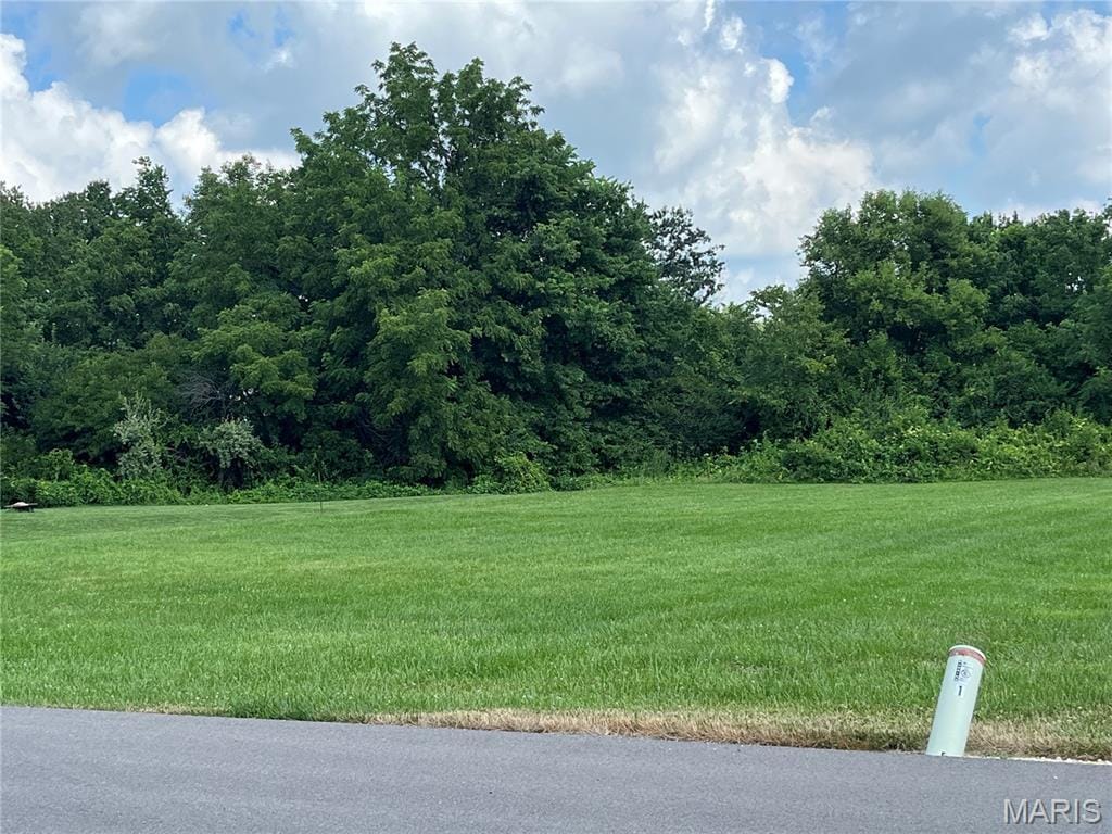 O Kincaid St, Bowling Green, MO 63334 - photo 2