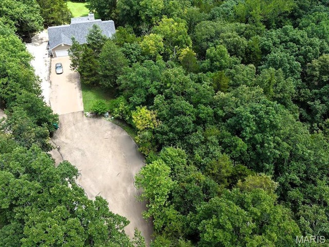 12790 Carla Ln, Festus, MO 63028 - photo 6