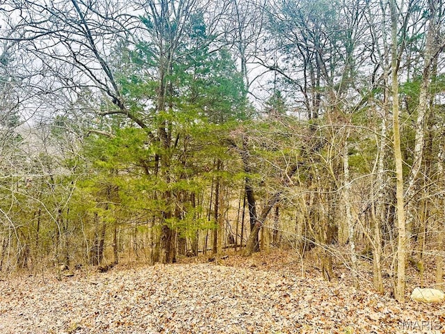 12790 Carla Ln, Festus, MO 63028 - photo 7