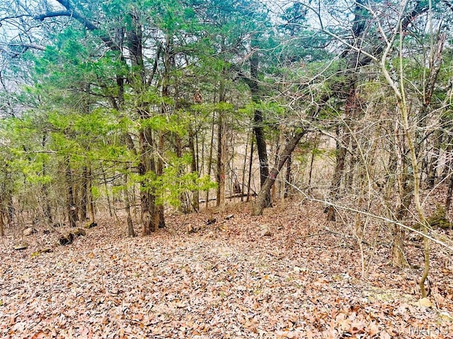 12790 Carla Ln, Festus, MO 63028 - photo 8