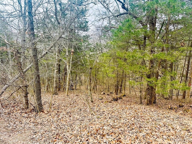 12790 Carla Ln, Festus, MO 63028 - photo 9