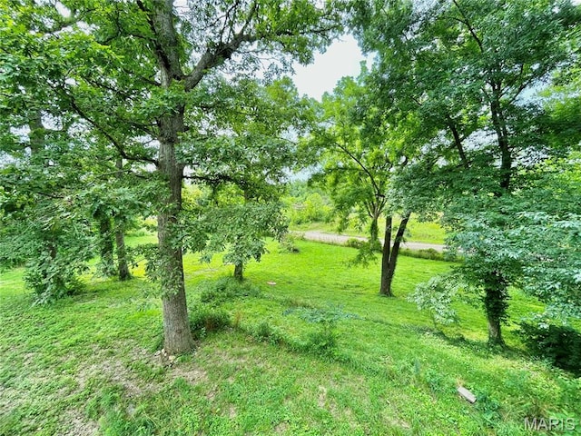 9 Great Oaks Dr, Salem, MO 65560 - photo 27