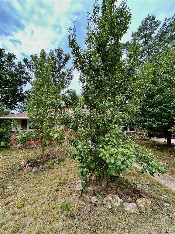 9 Great Oaks Dr, Salem, MO 65560 - photo 53