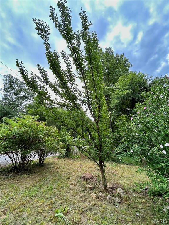 9 Great Oaks Dr, Salem, MO 65560 - photo 55