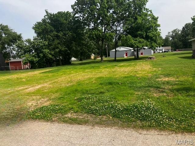 212 Dye St, Sikeston, MO 63801 - photo 5