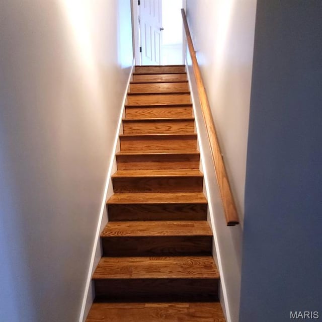 11128 Pine Forest Dr, Saint Louis, MO 63126 - photo 34