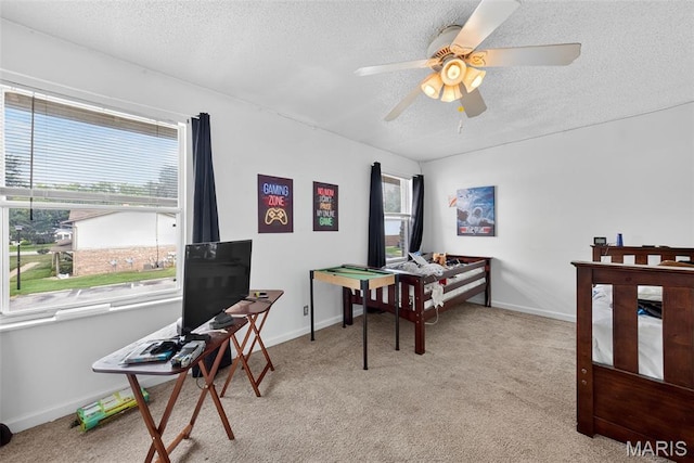 59 Park Charles Blvd Unit C, Saint Peters, MO 63376 - photo 19