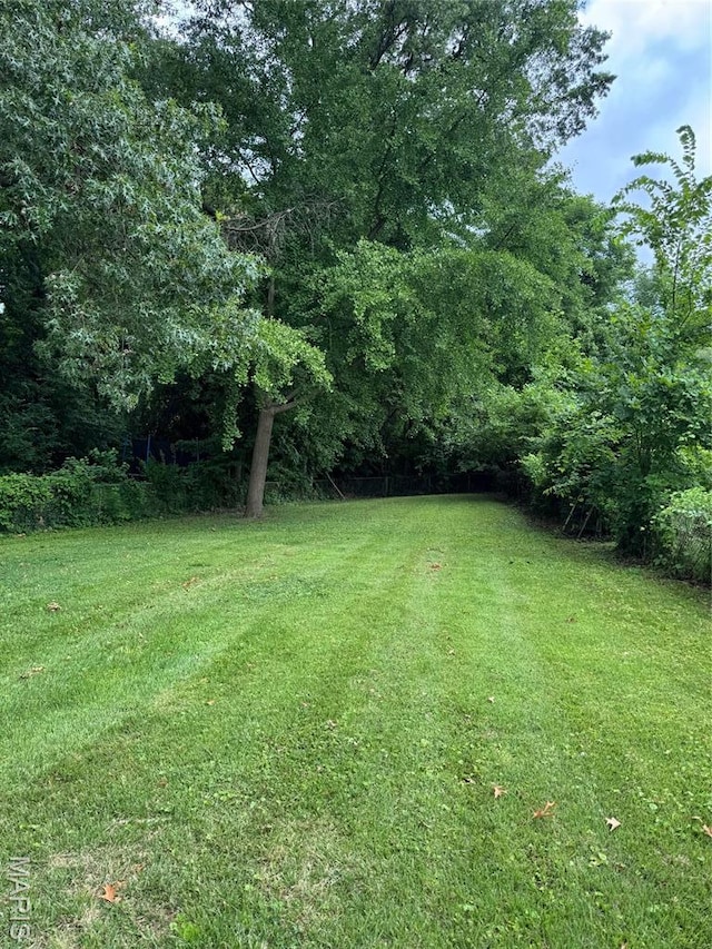 334 Suburban Ave, Saint Louis, MO 63135 - photo 10