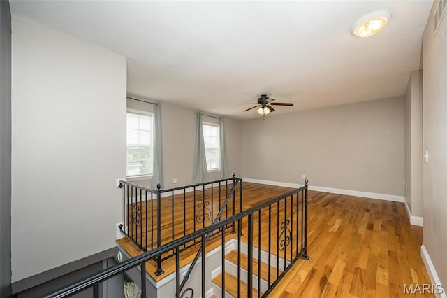 2532 Wellesley Dr, High Ridge Township, MO 63049 - photo 13