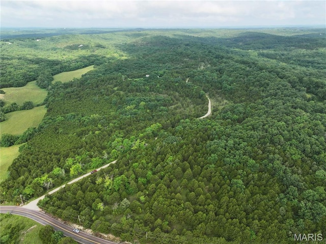 TRACT2 Plattin Rd, Festus, MO 63028 - photo 3