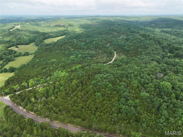 TRACT2 Plattin Rd, Festus, MO 63028 - photo 4
