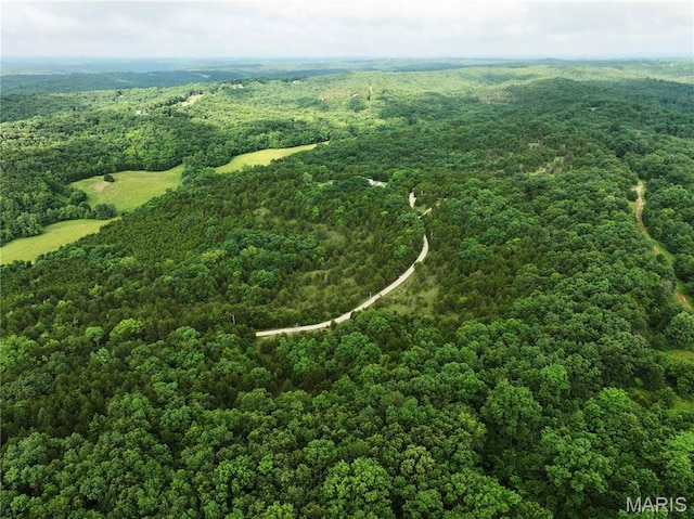 TRACT2 Plattin Rd, Festus, MO 63028 - photo 5