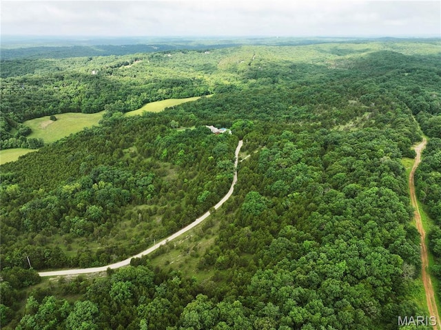 TRACT2 Plattin Rd, Festus, MO 63028 - photo 6