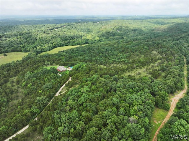TRACT2 Plattin Rd, Festus, MO 63028 - photo 7
