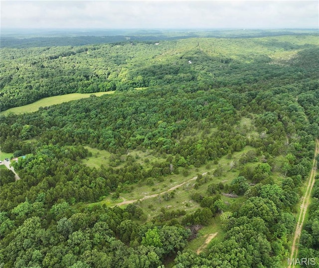 TRACT2 Plattin Rd, Festus, MO 63028 - photo 8