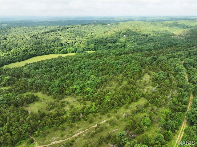 TRACT2 Plattin Rd, Festus, MO 63028 - photo 9