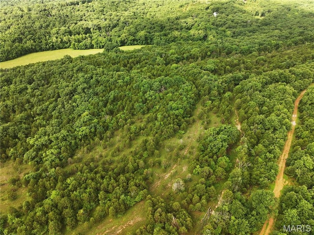 TRACT2 Plattin Rd, Festus, MO 63028 - photo 10