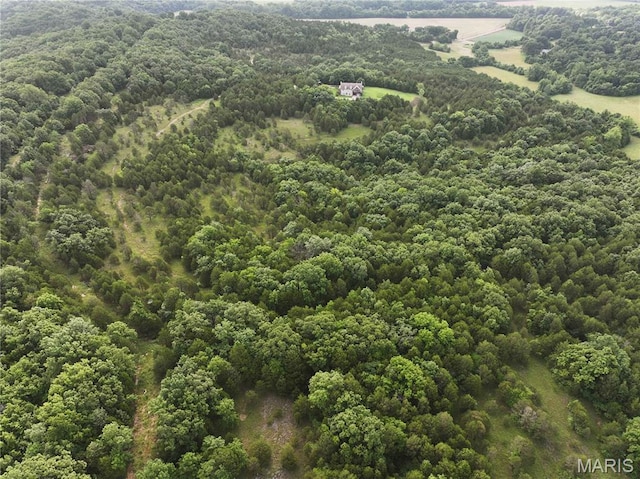 TRACT2 Plattin Rd, Festus, MO 63028 - photo 11