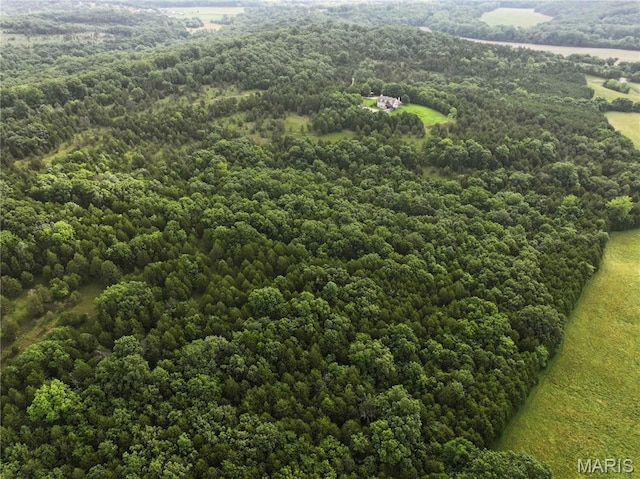 TRACT2 Plattin Rd, Festus, MO 63028 - photo 12