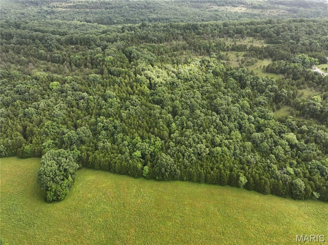 TRACT2 Plattin Rd, Festus, MO 63028 - photo 13