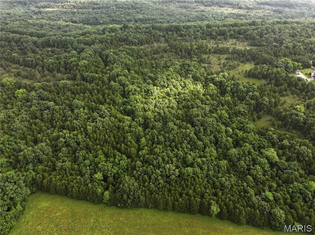 TRACT2 Plattin Rd, Festus, MO 63028 - photo 14