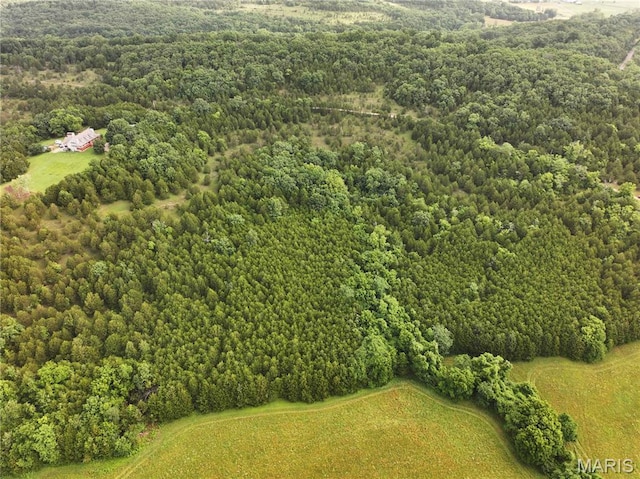 TRACT2 Plattin Rd, Festus, MO 63028 - photo 15