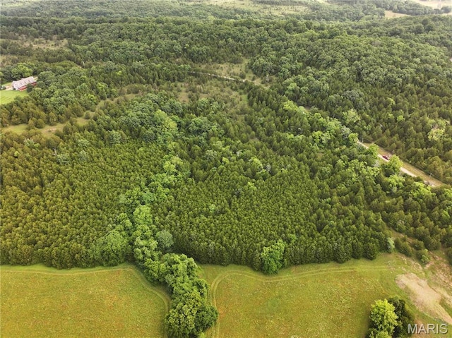 TRACT2 Plattin Rd, Festus, MO 63028 - photo 16