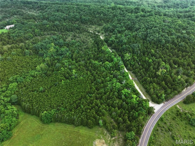 TRACT2 Plattin Rd, Festus, MO 63028 - photo 17