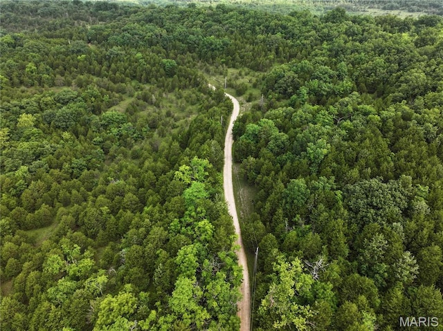 TRACT2 Plattin Rd, Festus, MO 63028 - photo 18