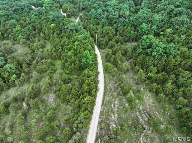 TRACT2 Plattin Rd, Festus, MO 63028 - photo 19