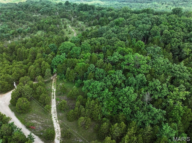 TRACT2 Plattin Rd, Festus, MO 63028 - photo 20