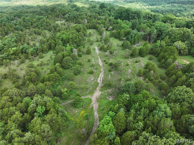 TRACT2 Plattin Rd, Festus, MO 63028 - photo 21