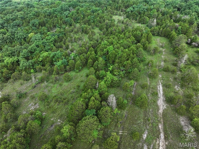 TRACT2 Plattin Rd, Festus, MO 63028 - photo 22
