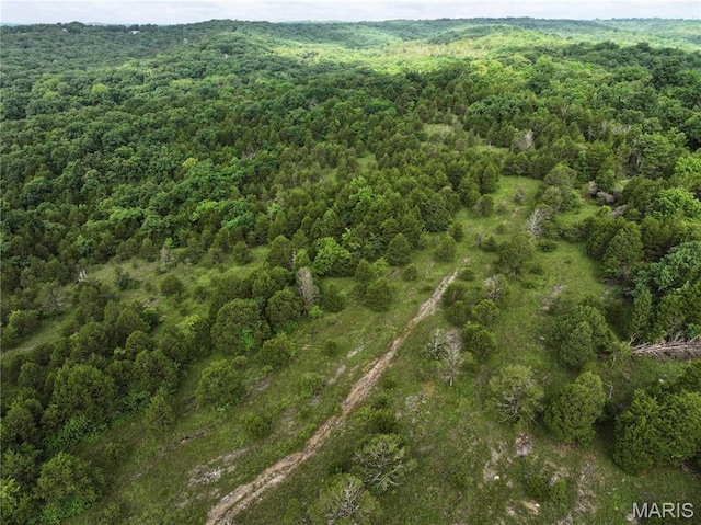 TRACT2 Plattin Rd, Festus, MO 63028 - photo 23