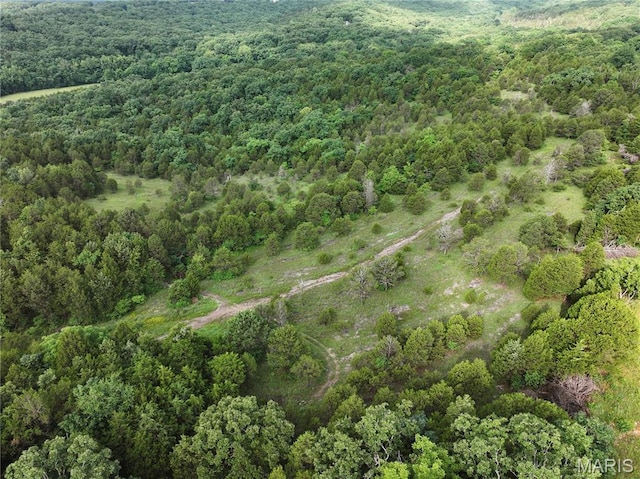 TRACT2 Plattin Rd, Festus, MO 63028 - photo 24