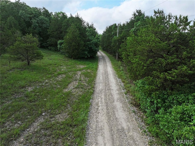 TRACT2 Plattin Rd, Festus, MO 63028 - photo 25