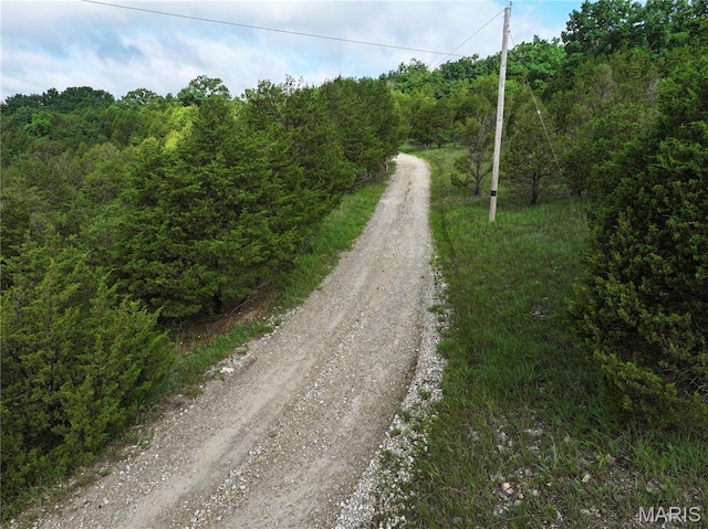 TRACT2 Plattin Rd, Festus, MO 63028 - photo 26