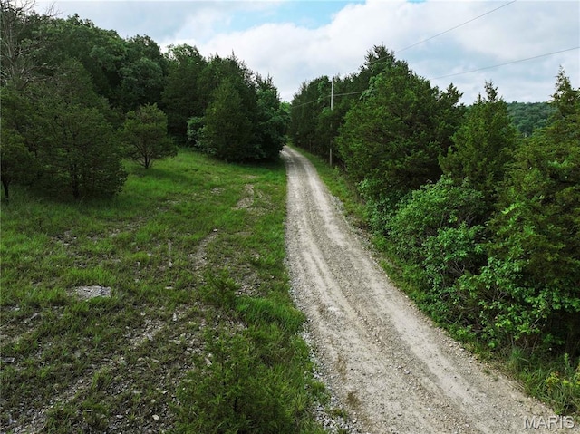 TRACT2 Plattin Rd, Festus, MO 63028 - photo 27