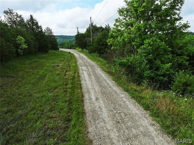 TRACT2 Plattin Rd, Festus, MO 63028 - photo 28
