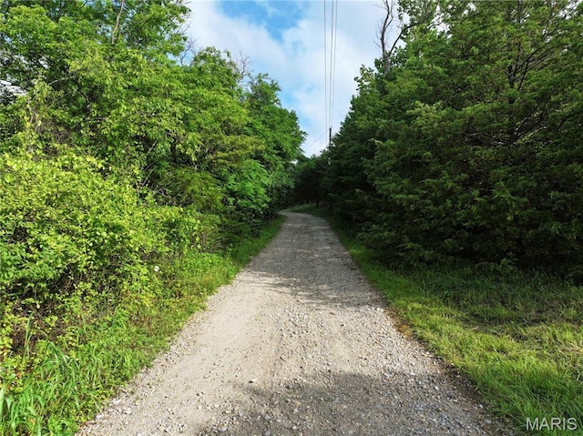 TRACT2 Plattin Rd, Festus, MO 63028 - photo 29