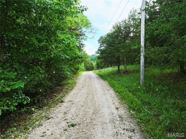 TRACT2 Plattin Rd, Festus, MO 63028 - photo 30