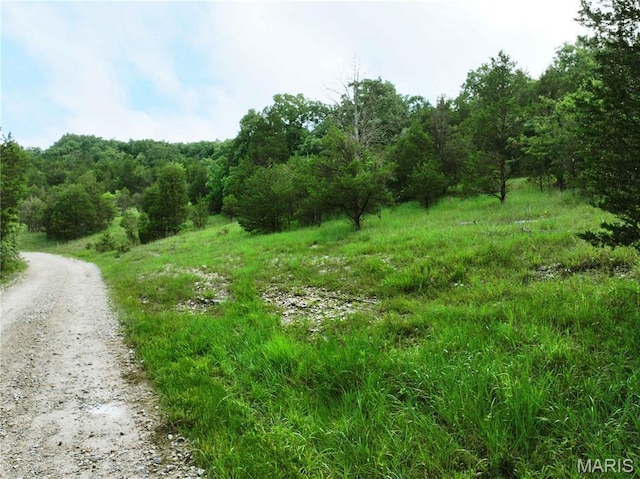 TRACT2 Plattin Rd, Festus, MO 63028 - photo 31