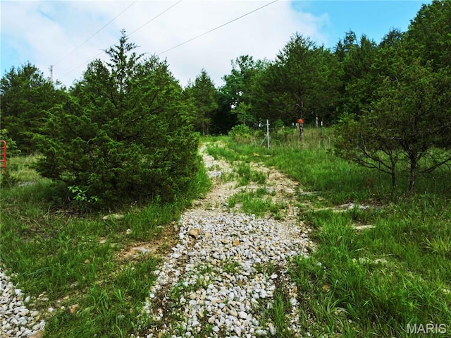 TRACT2 Plattin Rd, Festus, MO 63028 - photo 32