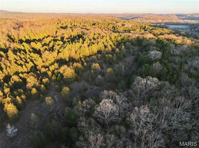 TRACT2 Plattin Rd, Festus, MO 63028 - photo 41