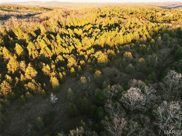 TRACT2 Plattin Rd, Festus, MO 63028 - photo 42