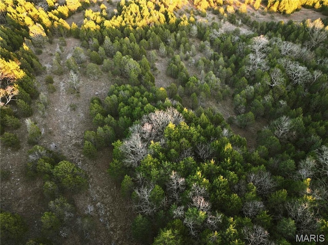 TRACT2 Plattin Rd, Festus, MO 63028 - photo 43