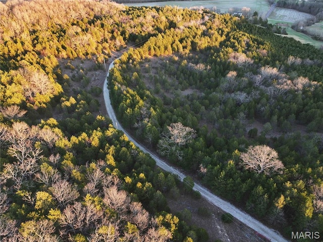 TRACT2 Plattin Rd, Festus, MO 63028 - photo 45