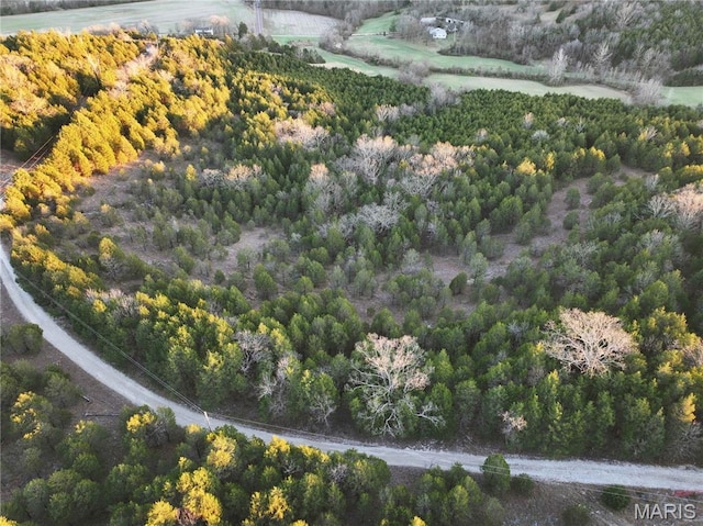 TRACT2 Plattin Rd, Festus, MO 63028 - photo 46