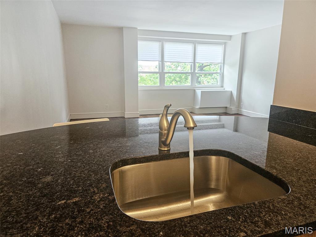 210 17th St Unit 309, Saint Louis, MO 63103 - photo 1