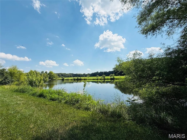 2076 Carter Rd, Coulterville, IL 62237 - photo 4